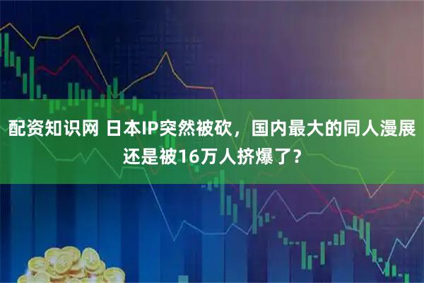 配资知识网 日本IP突然被砍，国内最大的同人漫展还是被16万人挤爆了？